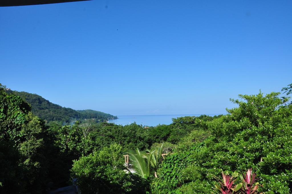 Cella Villa Anse a La Mouche Quarto foto